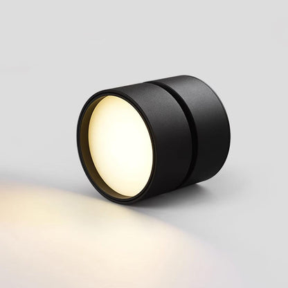 SavvinaLicht - Lampada da soffitto con funzionalità regolabile