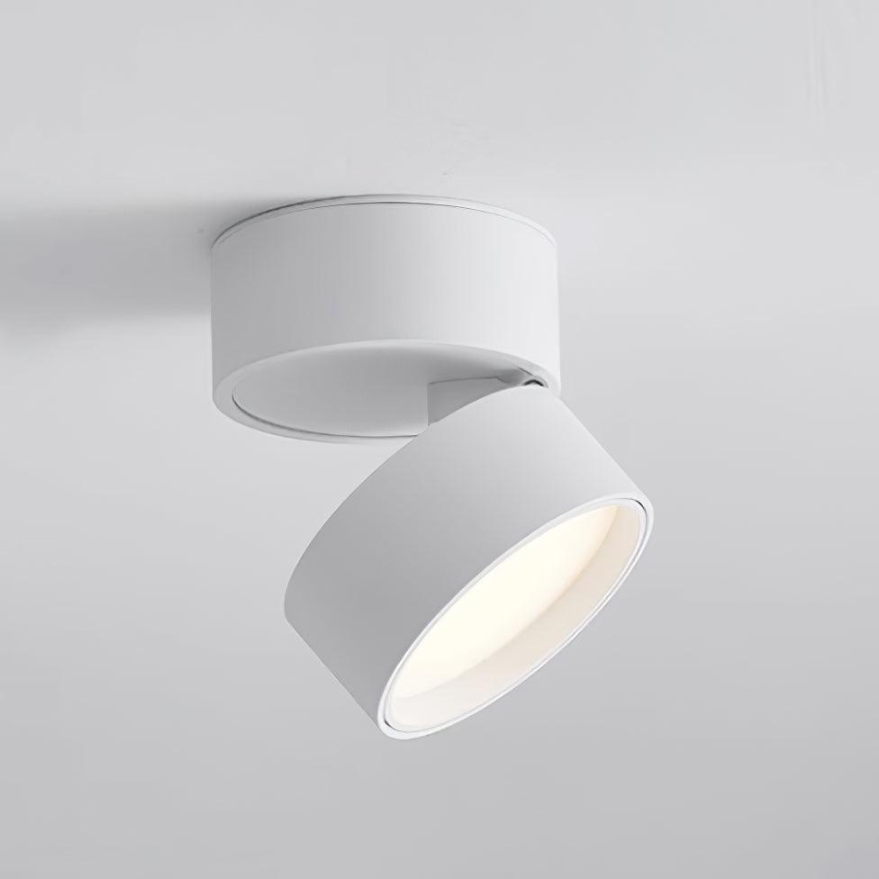 SavvinaLicht - Lampada da soffitto con funzionalità regolabile