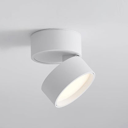 SavvinaLicht - Lampada da soffitto con funzionalità regolabile