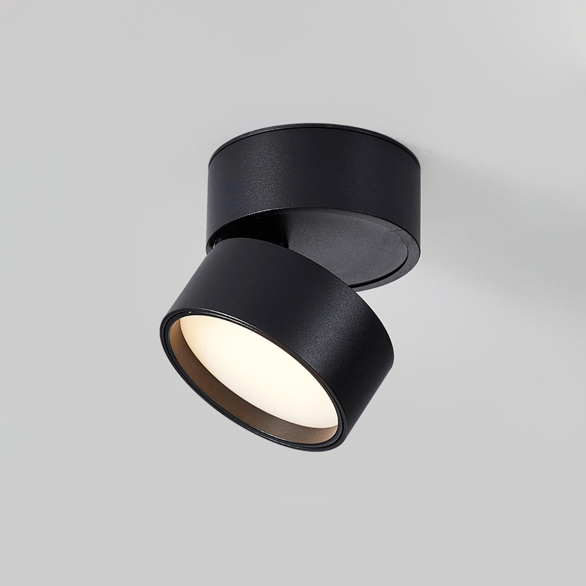SavvinaLicht - Lampada da soffitto con funzionalità regolabile