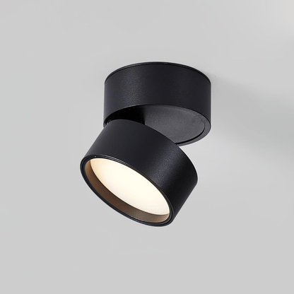 SavvinaLicht - Lampada da soffitto con funzionalità regolabile