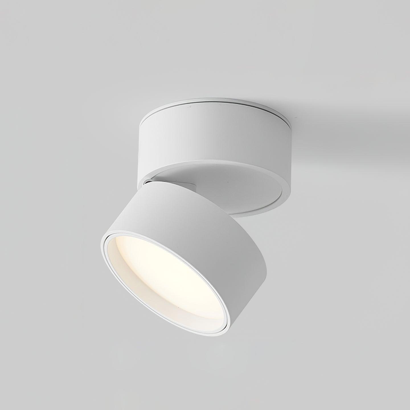 SavvinaLicht - Lampada da soffitto con funzionalità regolabile