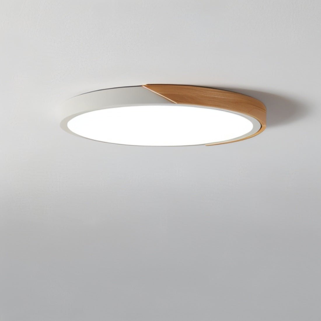 Delphi Ceiling Light